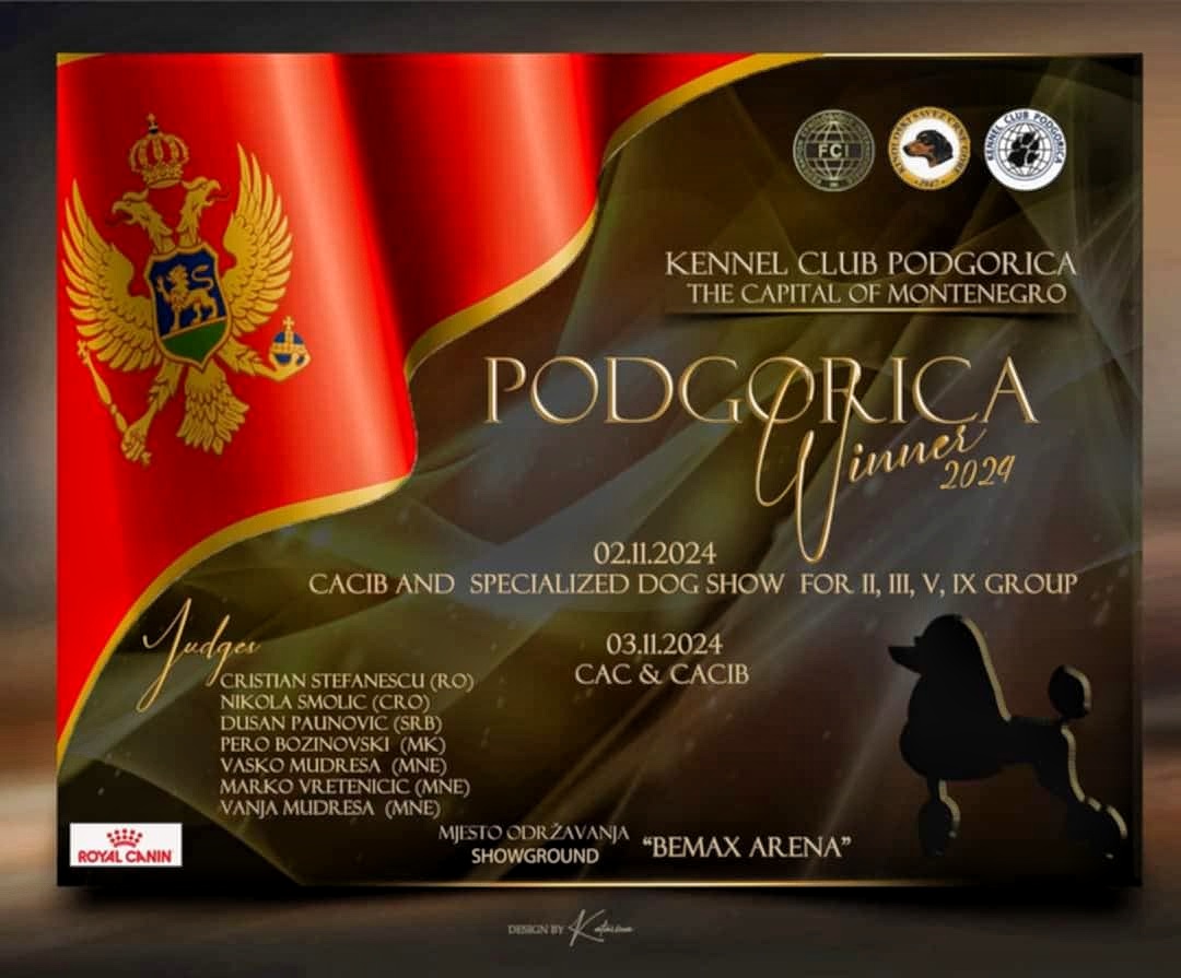 PODGORICA WINNER 2024